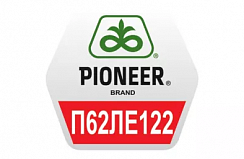 Семена подсолнечника Pioneer П62ЛЕ122